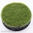 RTS 90804-1 - RTS Gras-Flock Bergwiese 4 mm - 50 g Beutel