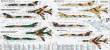 Mistercraft SD-13 - Su-20RLast Flight START SET