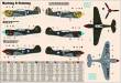 Mistercraft SD-202 - P-40E Aleutian Tiger START SET