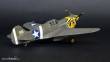 Mistercraft SD-202 - P-40E Aleutian Tiger START SET