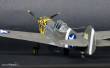 Mistercraft SD-202 - P-40E Aleutian Tiger START SET