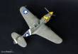 Mistercraft SD-202 - P-40E Aleutian Tiger START SET