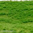 RTS 92612-4 - RTS Grasmatte Frühsommer