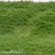 RTS 92622-4 - RTS Grasmatte Sommer