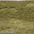 RTS 92631-4 - RTS Grasmatte Frühherbst