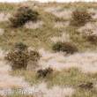 RTS 92722-4 - RTS Grasmatte Wildwuchs Sommer