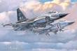 Trumpeter 01658 - 1:72 Chinese FC-1 Prototype 01 & 03
