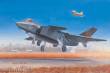 Trumpeter 01663 - 1:72 Chinese J-20 Fighter