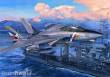 Trumpeter 03203 - F-14D Super Tomcat