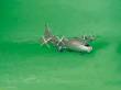 Trumpeter 04001 - 1:100 Antonov An-12 BK Cub