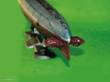 Trumpeter 05901 - 1:144 Chinesisches U-Boot Type 33