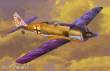 Mistercraft C-03 - Fw-190A-6 Grun Hertz in 1:72