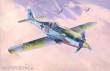 Mistercraft C-08 - Fw-190 D-9 Papagein Staffel in 1:72