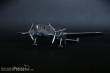 Mistercraft D-07 - PZL P-37A Los I Luftwaffe in 1:72