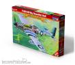Mistercraft D-270 - P-51D-25 ´Big Beautiful Doll´ in 1:72
