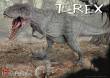 Pegasus 959551 - 1/24 Dinosaurier T-Rex