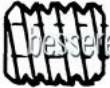 Weinert 96510 - Modul 0,4 Kunststoff-Schnecke4,85 DurchmesserBohrung 1,98 mm