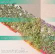 Silhouette 998-29 - Blumen-Sortiment alle Farben NZ/TT/H0/0 6x ca.15 cm