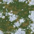 Bandua BAKRBT00083 - KRB_SnowyGrasslands 4x4 TEXTIL