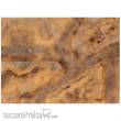 Bandua BAMAT00071 - 44´x60´ Imperial City Desert 1