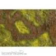 Bandua BAMAT00470 - Bayou Mat 36X24- Roleplay Mat (PVC/Vinly) Rolled Version