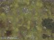 Bandua BATMAT0474 - War Fields SHOCK 48X36 - Roleplay Mat (Textil)
