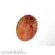 Bandua BAtx000081 - 160X120 mm Mars X1
