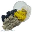 BASE X Terrain & Scenery BXMS3SIEGEKRAUT - Basetopping: MOOS³ SET SIEGEKRAUT