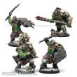 Corvus Belli CBWW01003 - WC Northern Tribes Battle-Scarred