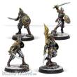 Corvus Belli Warcrow CBWW02004-0015 - Black Legion Bucklermen