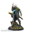 Corvus Belli Warcrow CBWW03004-0025 - Neakail Oen Fhiahra