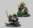 Corvus Belli Warcrow CBWW03010-0060 - Syenann Clouded