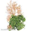 Domus Kits DO03902 - ARBOL COMPLET/Full Tree EOL