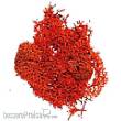 Domus Kits DO03905 - BOLSA /Red Moss Bag12 gr.