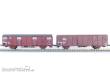 Exact-Train EX20712 - DBAG 2 Set Gbs Güterwagen mit DGAG Emblem Epoche V und DSB Gbs (Ex. NS)