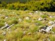 Model Scene F733 - Spätsommer, viele Steine