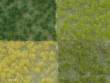 Model Scene F901 - Rasensode - MULTIPACK 4 farben