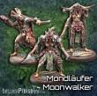 Freebooter Miniatures FMAFAD03 - Ascending Fate: Unitbox An Dan Moonwalker