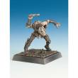 Freebooter Miniatures ASS 009 - Fith Aarch