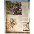 Freebooter Miniatures FF 002 - Freebooters Fate Rulebook