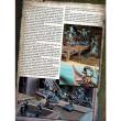 Freebooter Miniatures FMFF040 - Tales of Longfall #6, Die Schatten