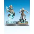 Freebooter Miniatures FMSCH000 - Starterbox Schatten