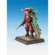 Freebooter Miniatures FMSOL000A - Don Pavo (Freebooters Fate)