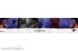 Dungeons & Dragons GFDND73705G - Dungeon Master s Screen - Fluch des Strahd