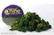Gale Force Nine GFN003274 - Hobby Round: Summer 3 Color Clump Foliage Mix
