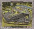 Gale Force Nine GFNBB533 - Extra Large Rocky Hill (x1) - 15mm/30mm
