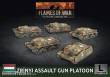 Battlefront Miniatures GFNHBX03 - Zrinyi Assault Gun (x5 Plastic)