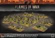 Battlefront Miniatures GFNSBX50 - Rifle Company (Mid war x152 Figures Plastic)