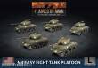 Battlefront Miniatures GFNUBX91 - M4 Easy Eight (76mm) (x5 Plastic)