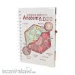 Glassstaff GSDN4ANTMYD20 - Anatomy of the d20 Deluxe Notebook